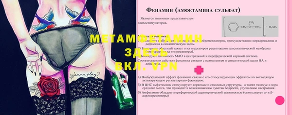спиды Аркадак