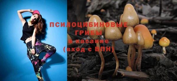 спиды Аркадак