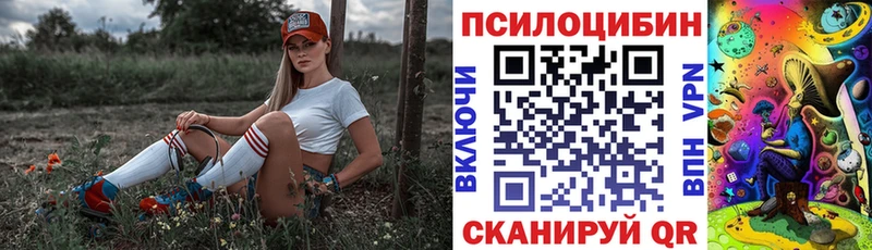 наркотики  ОМГ ОМГ сайт  Галлюциногенные грибы GOLDEN TEACHER  Кукмор 